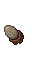 insectoid egg