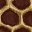 hivecomb floor