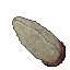 giant insectoid eggs