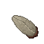 giant insectoid eggs