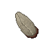 giant insectoid eggs
