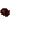 insectoid pore