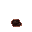 insectoid pore