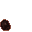 insectoid pore