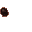 insectoid pore