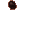insectoid pore