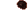 insectoid pore