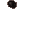 insectoid pore