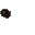 insectoid pore