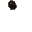 insectoid pore
