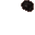 insectoid pore