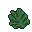 palm lettuce coral