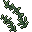 seaweed