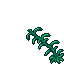laminaria
