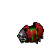 dead lady bug