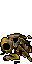 dead waspoid