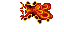 lava stream
