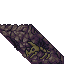 fossilised bones