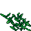 green crystals