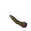 fossilised spine
