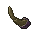 fossilised spine