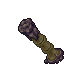 fossilised spine