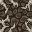 mold floor