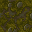mossy floor
