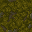 mossy floor