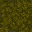 mossy floor