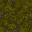 mossy floor