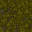 mossy floor