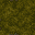 mossy floor