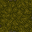 mossy floor