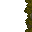mossy floor