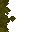 mossy floor
