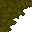 mossy floor