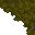 mossy floor