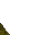 mossy floor