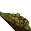 mossy wall