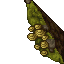 mossy wall