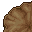 huge brown mushroom