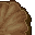 huge brown mushroom