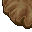 huge brown mushroom