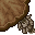 huge brown mushroom