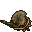 toad stool