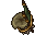 toad stool