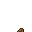 mushrooms