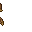 mushrooms