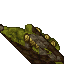 mossy wall
